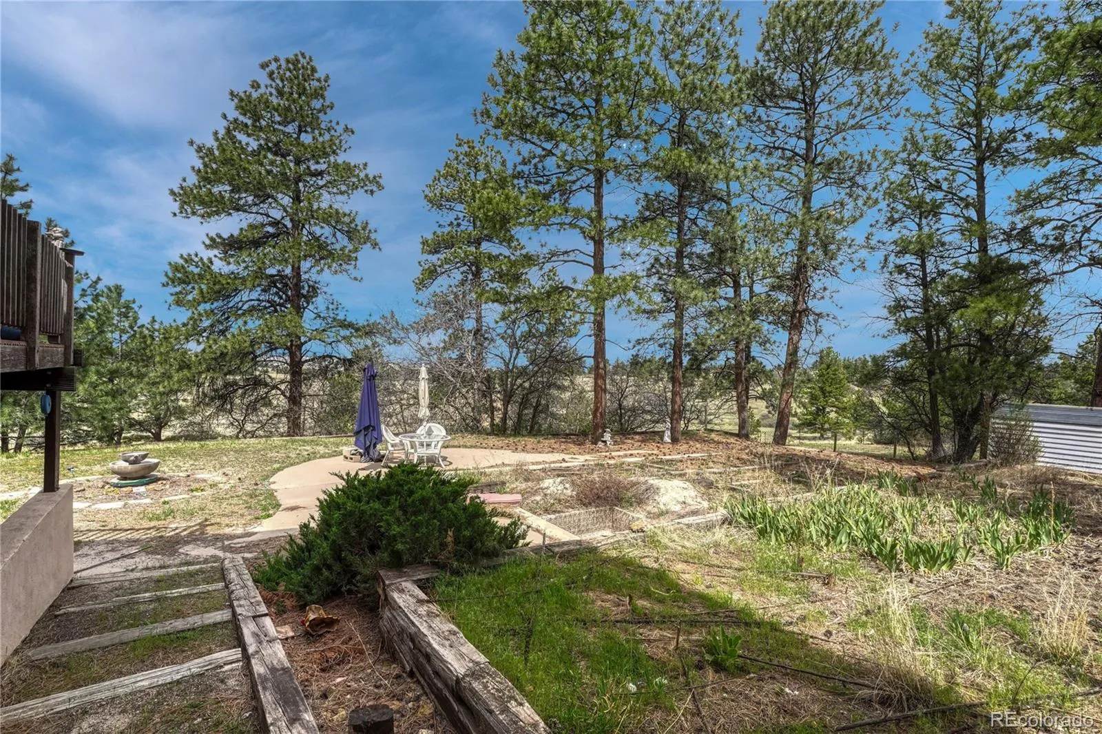 6541 Alpine. Drive Parker CO 80134 MLS #REC8842567 05232026100258 1600 34