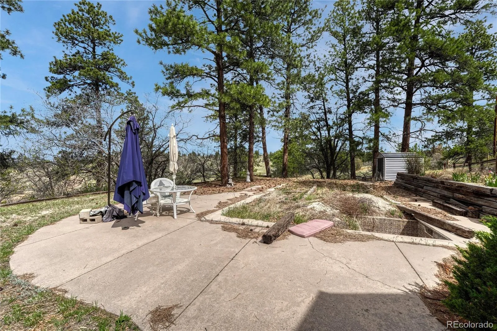 6541 Alpine. Drive Parker CO 80134 MLS #REC8842567 05232026100258 1600 35