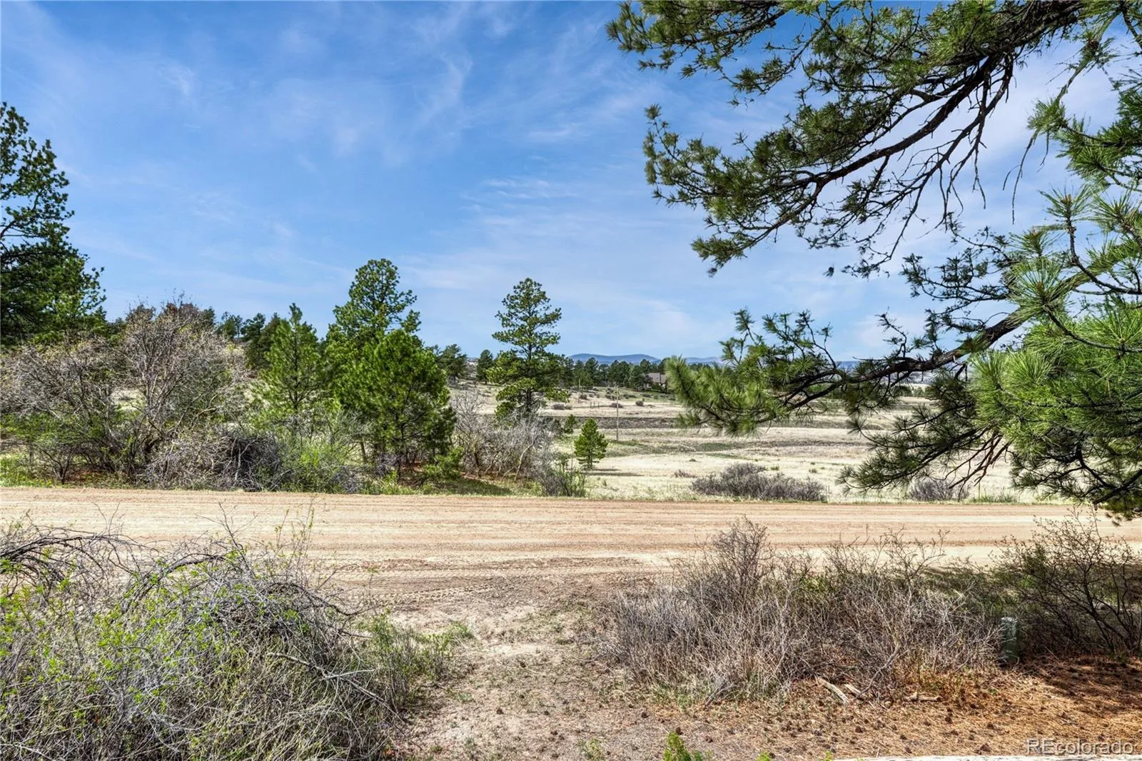 6541 Alpine. Drive Parker CO 80134 MLS #REC8842567 05232026100258 1600 38