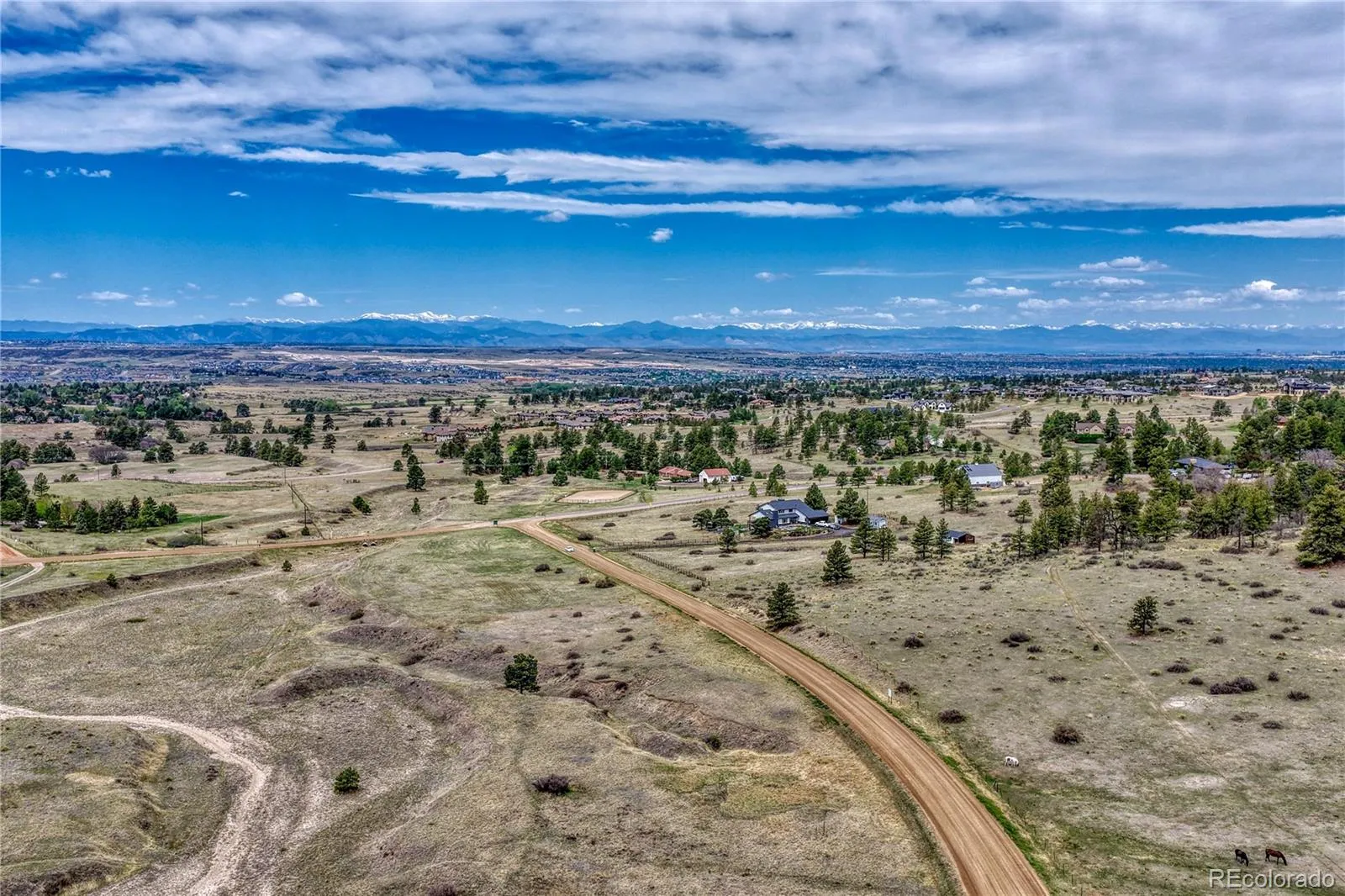 6541 Alpine. Drive Parker CO 80134 MLS #REC8842567 05232026100258 1600 44