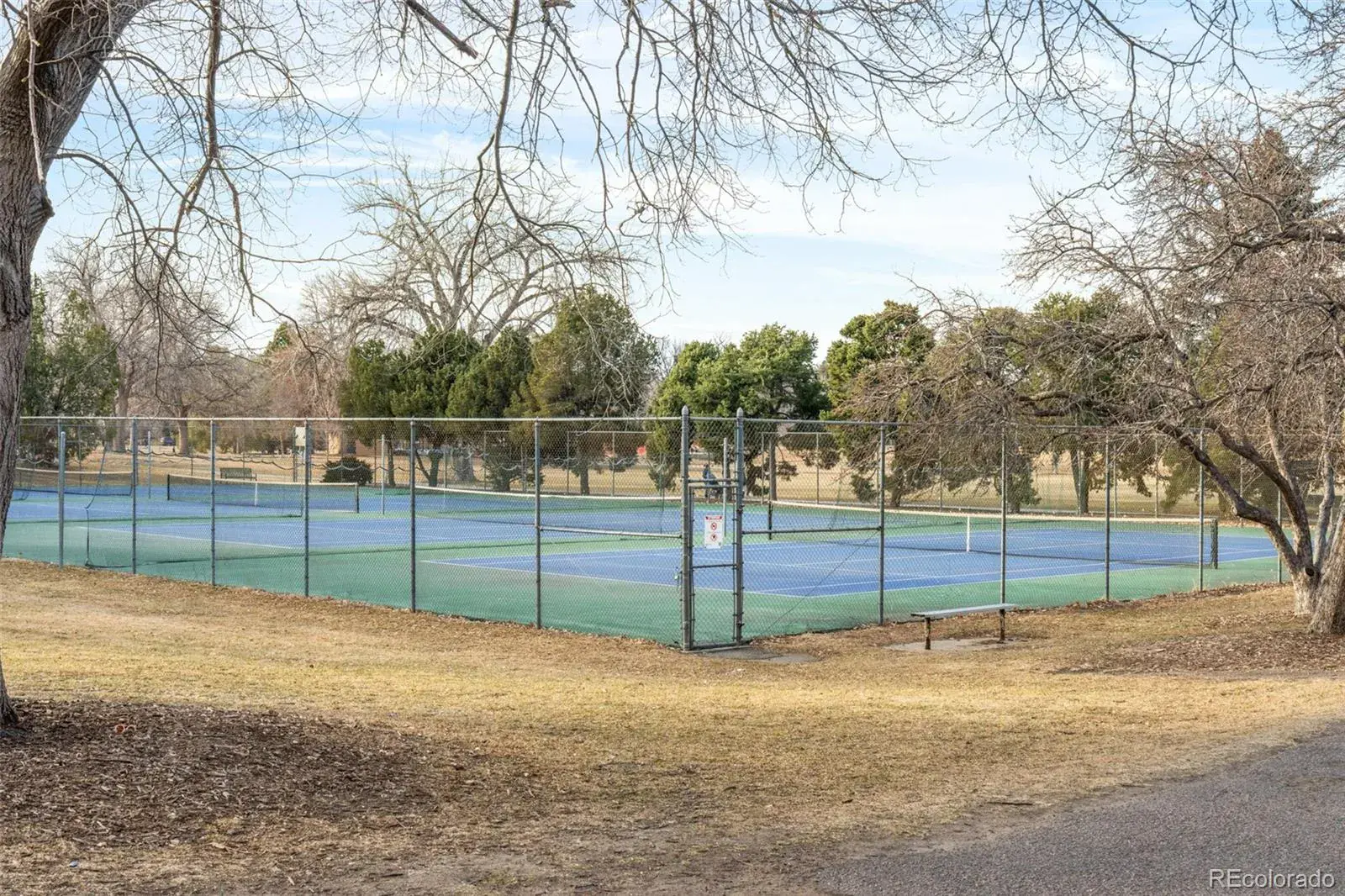 02142026034339 1600 40