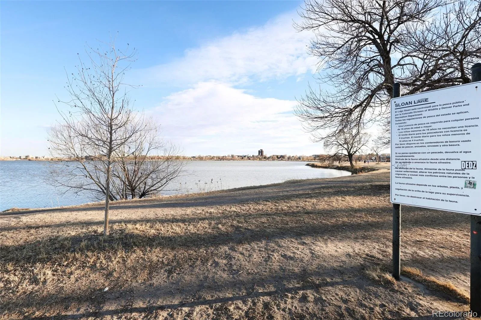 5136 W 9th Avenue Denver CO 80204 MLS #REC8846095 03082026171648 1600 37