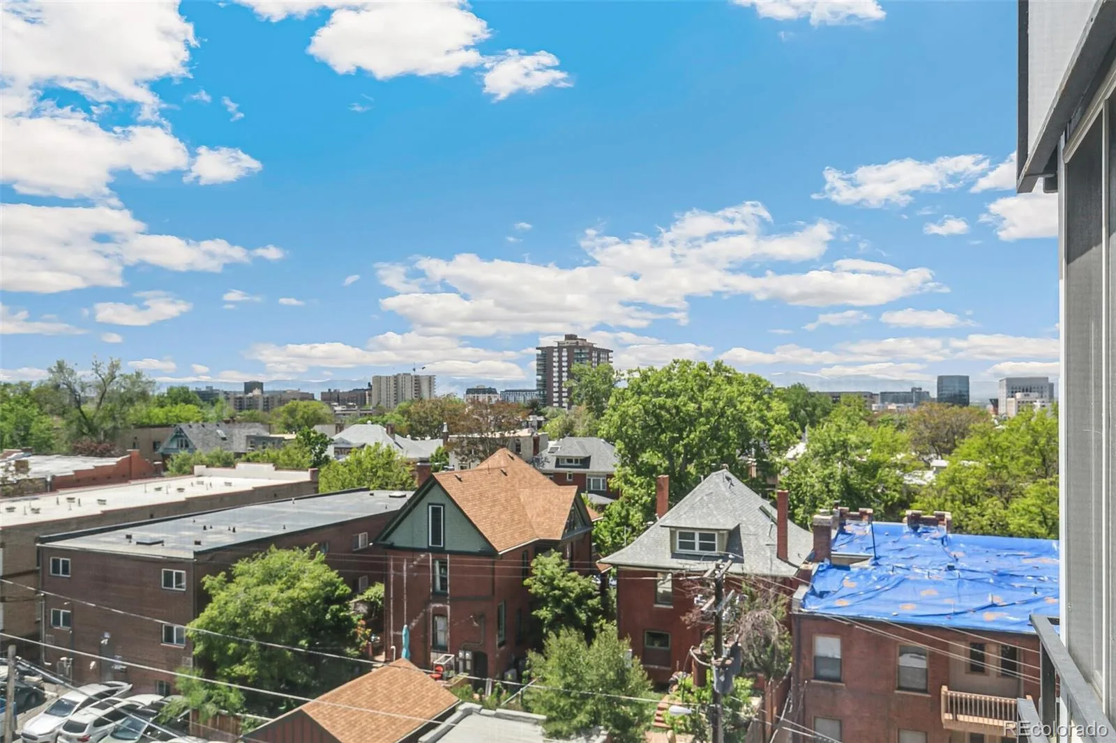 1255 N Ogden Street #605 Denver CO 80218 MLS #REC8846565 06192026040421 1600 13