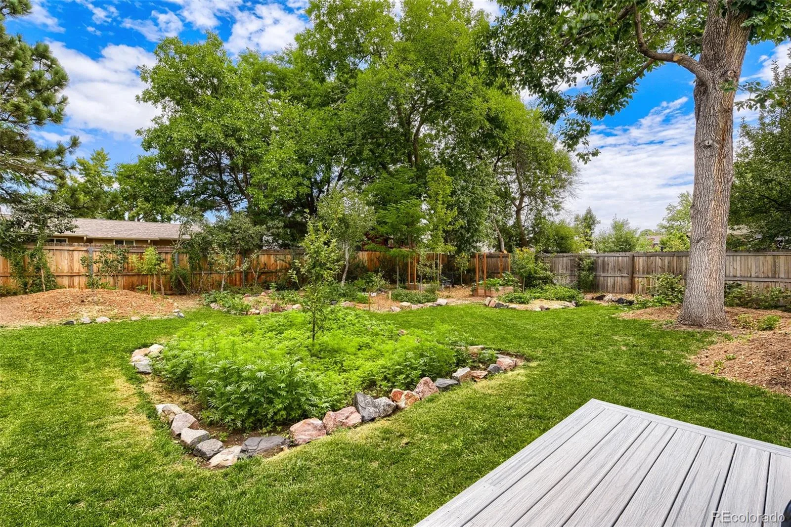 6451 W Arbor Avenue Littleton CO 80123 | MLS #REC8851393 08262026191950 1600 15