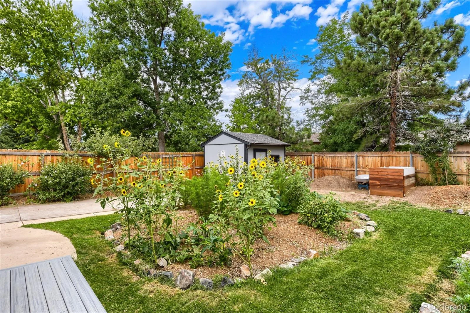 6451 W Arbor Avenue Littleton CO 80123 | MLS #REC8851393 08262026191950 1600 16