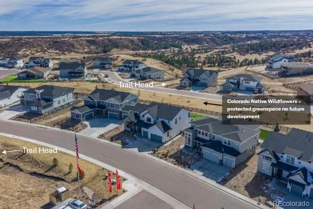 3600 Doubletrack Lane Castle Rock CO 80108 MLS #REC8852975 04282026193416 620 42