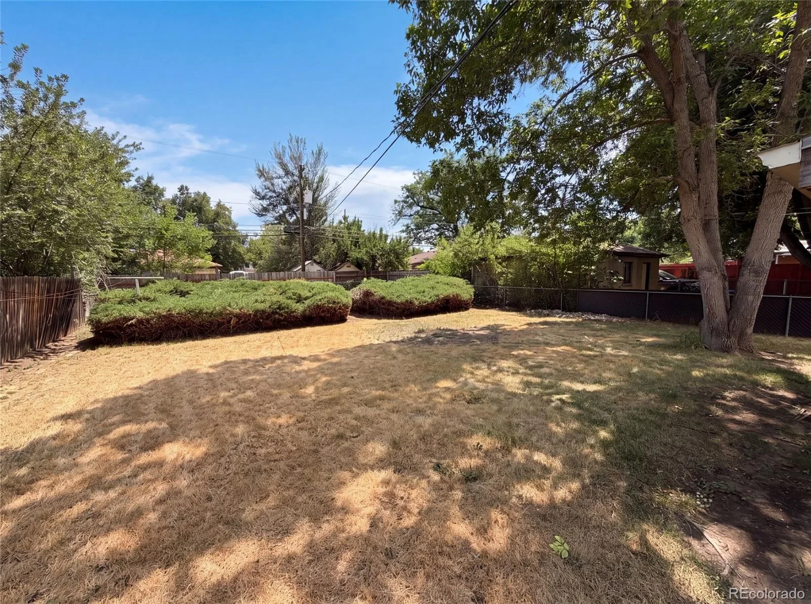 3900 Otis Street Wheat Ridge CO 80033 | MLS #REC8865941 07302026181741 1600 16