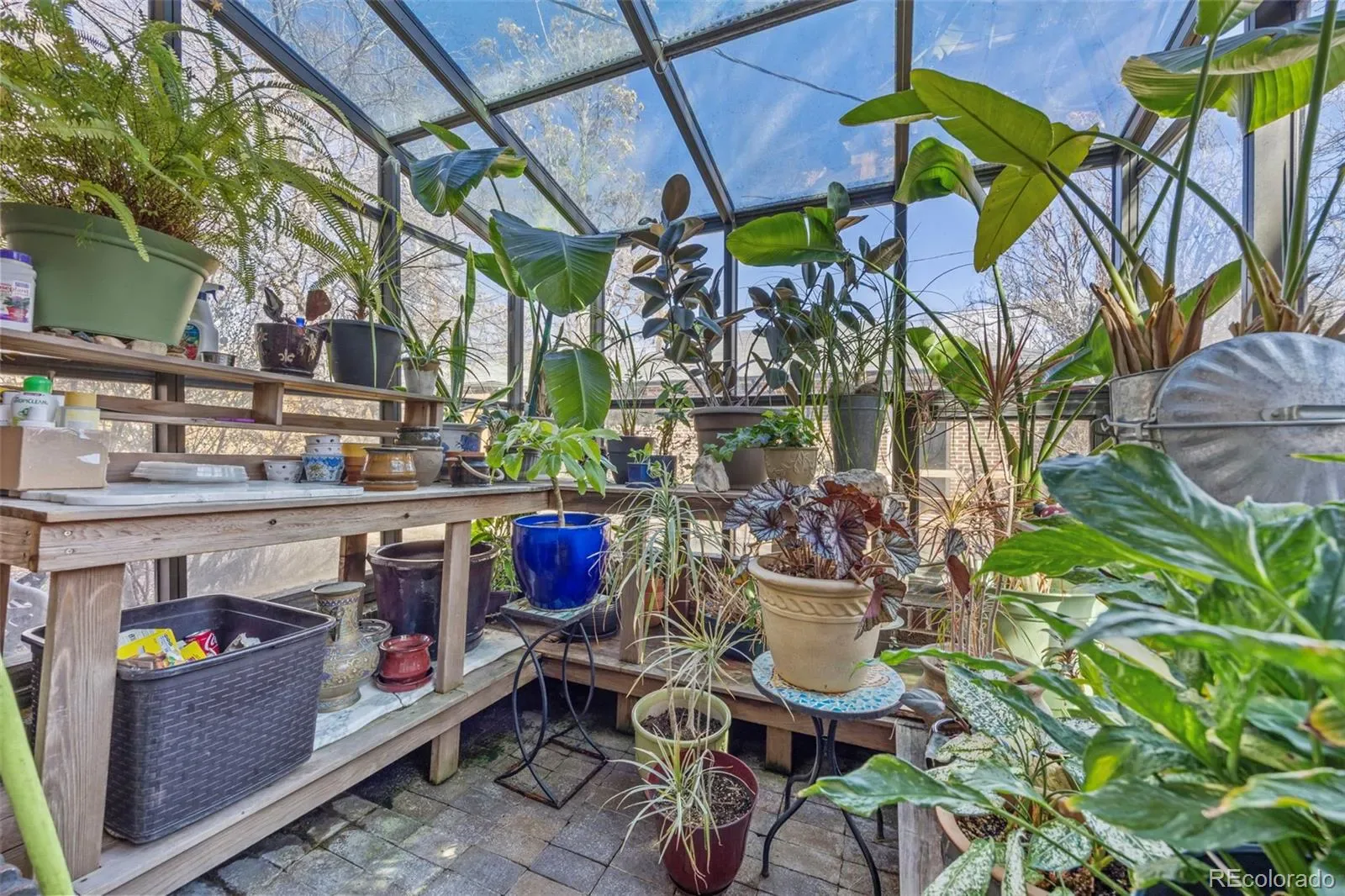 03192026172445 1600 22