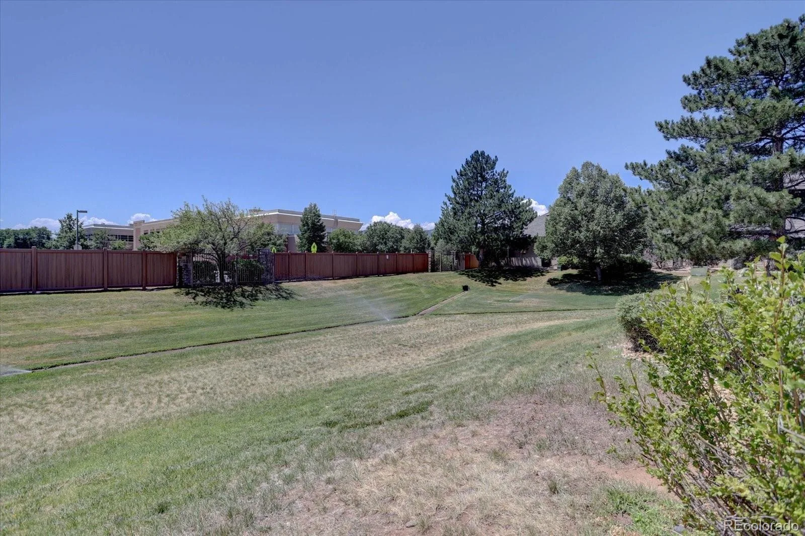9244 W Coco Place Littleton CO 80128 | MLS #REC8869048 07162026195004 1600 20