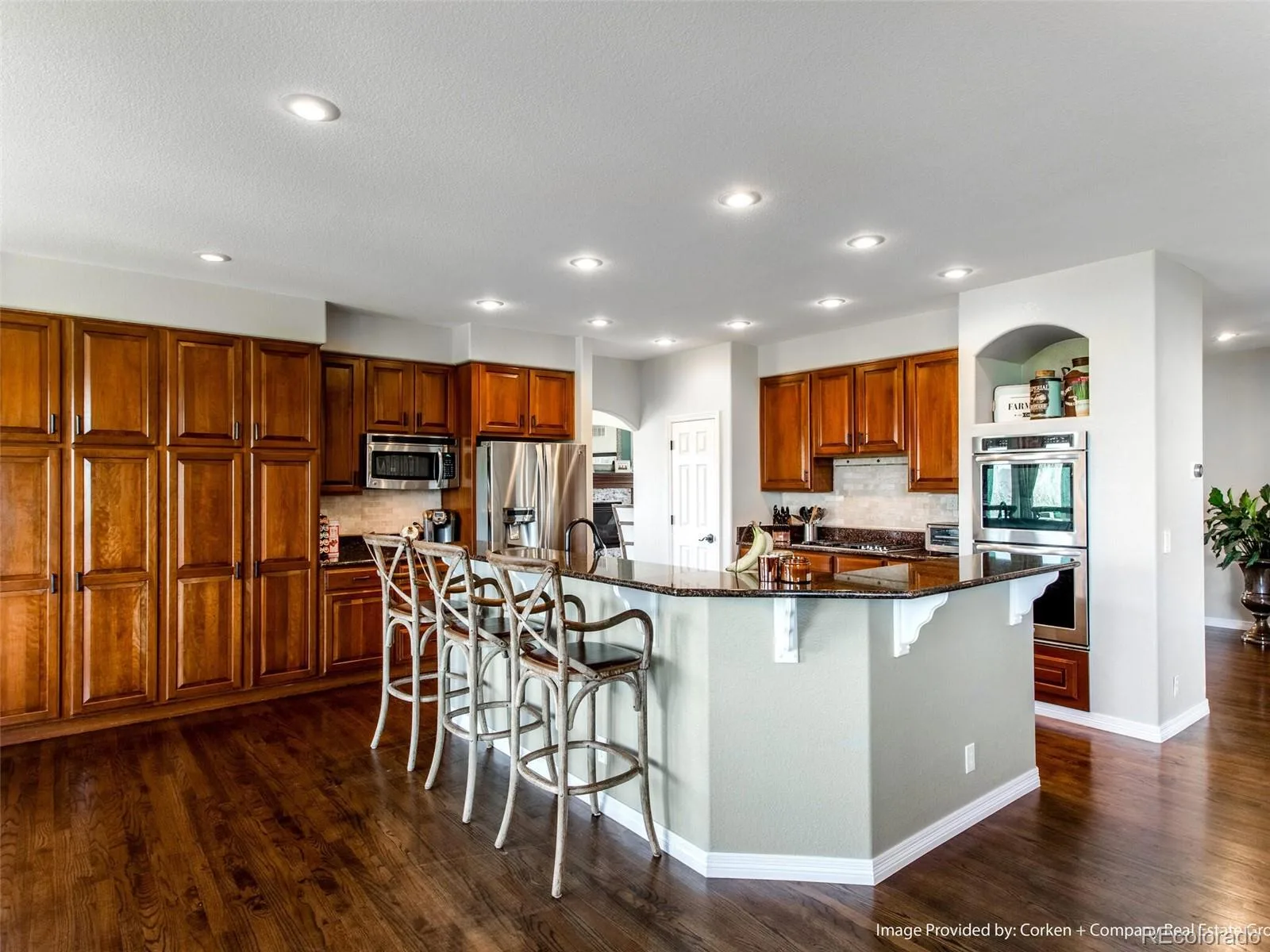 8435 Green Island Circle Lone Tree CO 80124 MLS #REC8879820 07062026232619 1600 11