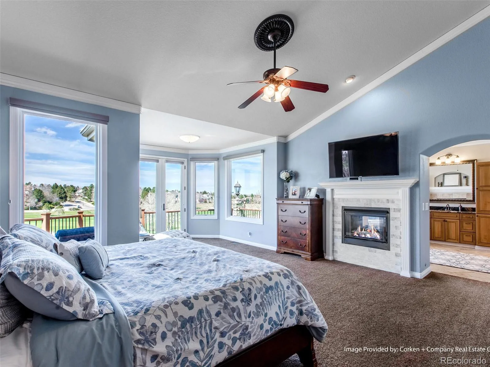 8435 Green Island Circle Lone Tree CO 80124 MLS #REC8879820 07062026232619 1600 22