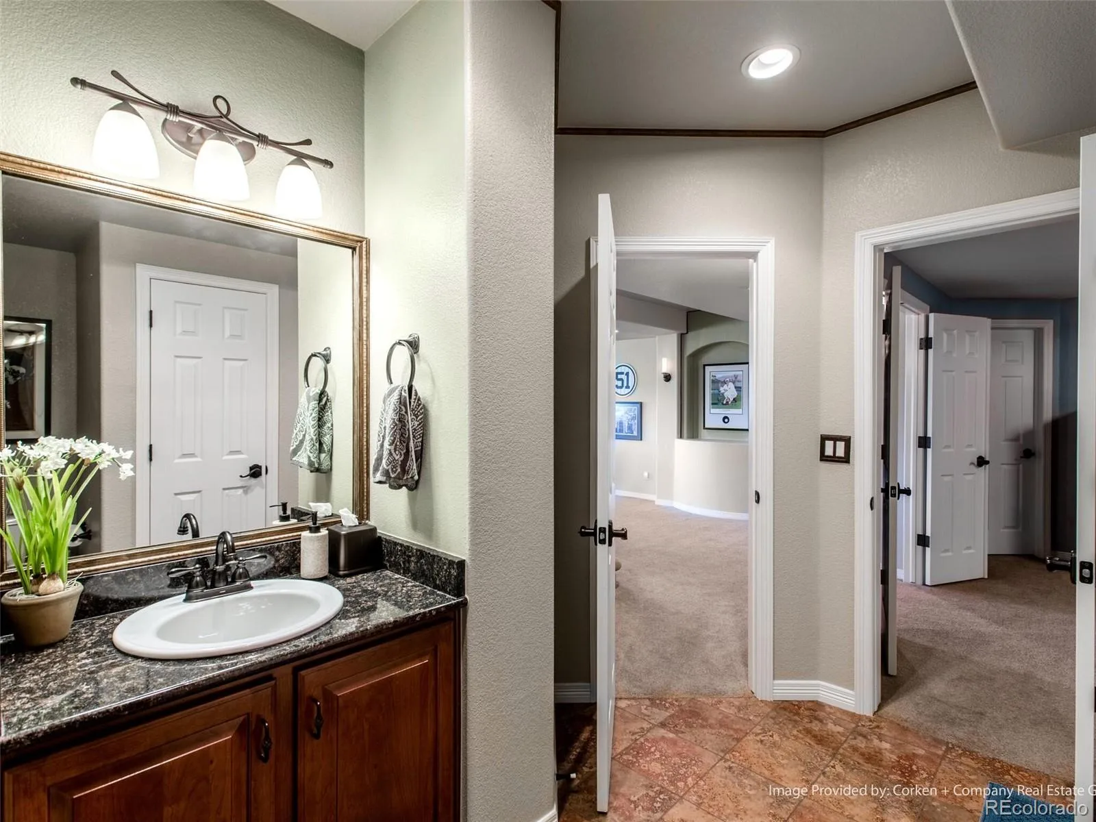 8435 Green Island Circle Lone Tree CO 80124 MLS #REC8879820 07062026232619 1600 31