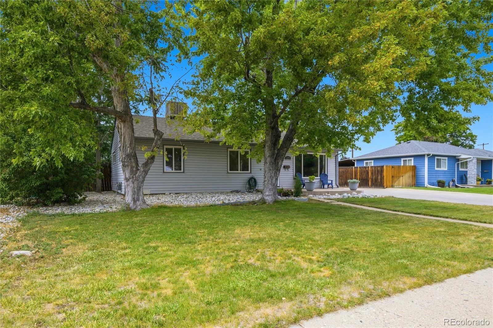 479 S Harlan Street Lakewood CO 80226 | MLS #REC8880130 08172026120542 1600 1