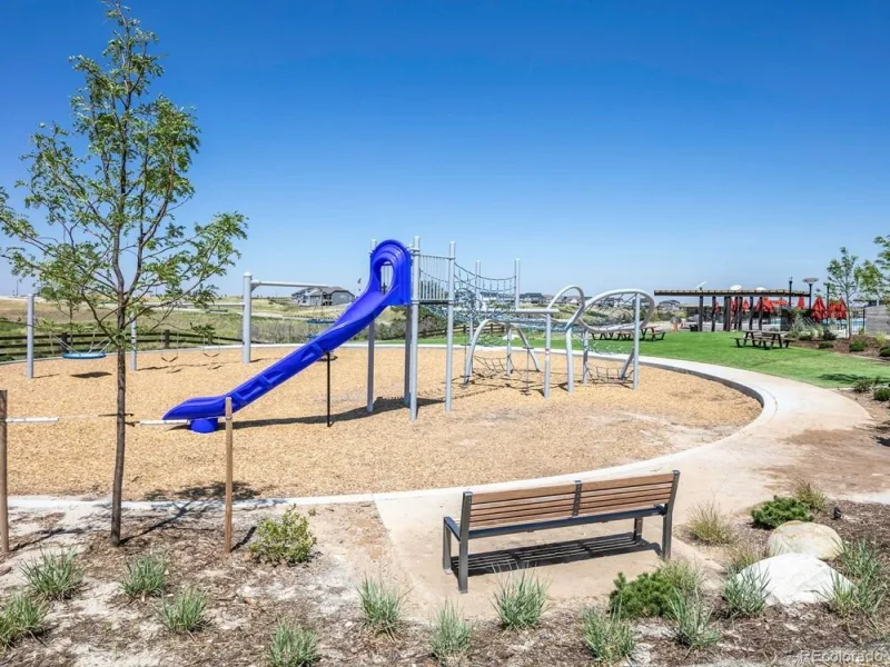 4207 Canister Point Castle Rock CO 80108 | MLS #REC8883691 08192026184246 800 34