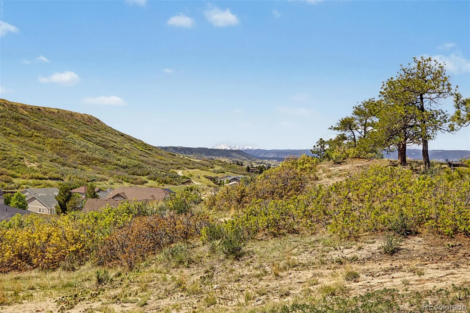 2601 Dublin Drive Castle Rock CO 80104 | MLS #REC8888671 08202026143443 1600 38