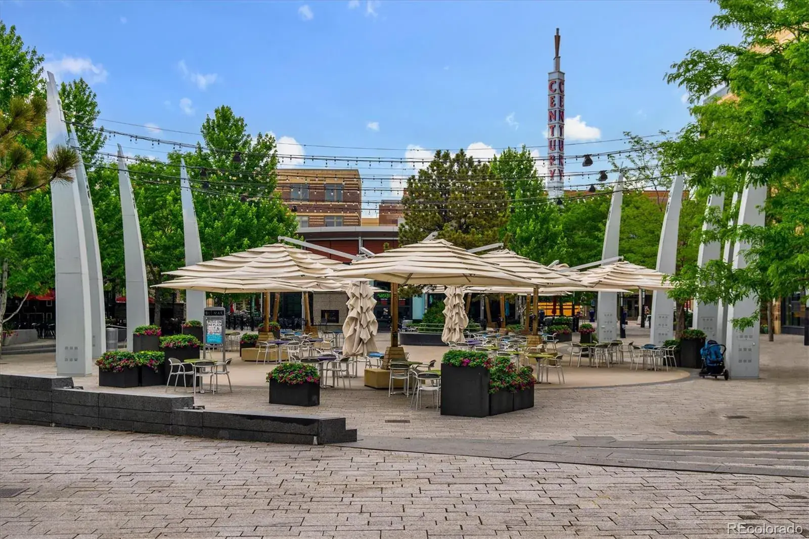 03062026165654 1600 43