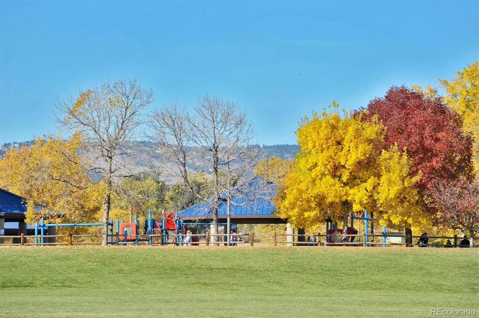 03062026165654 1600 45