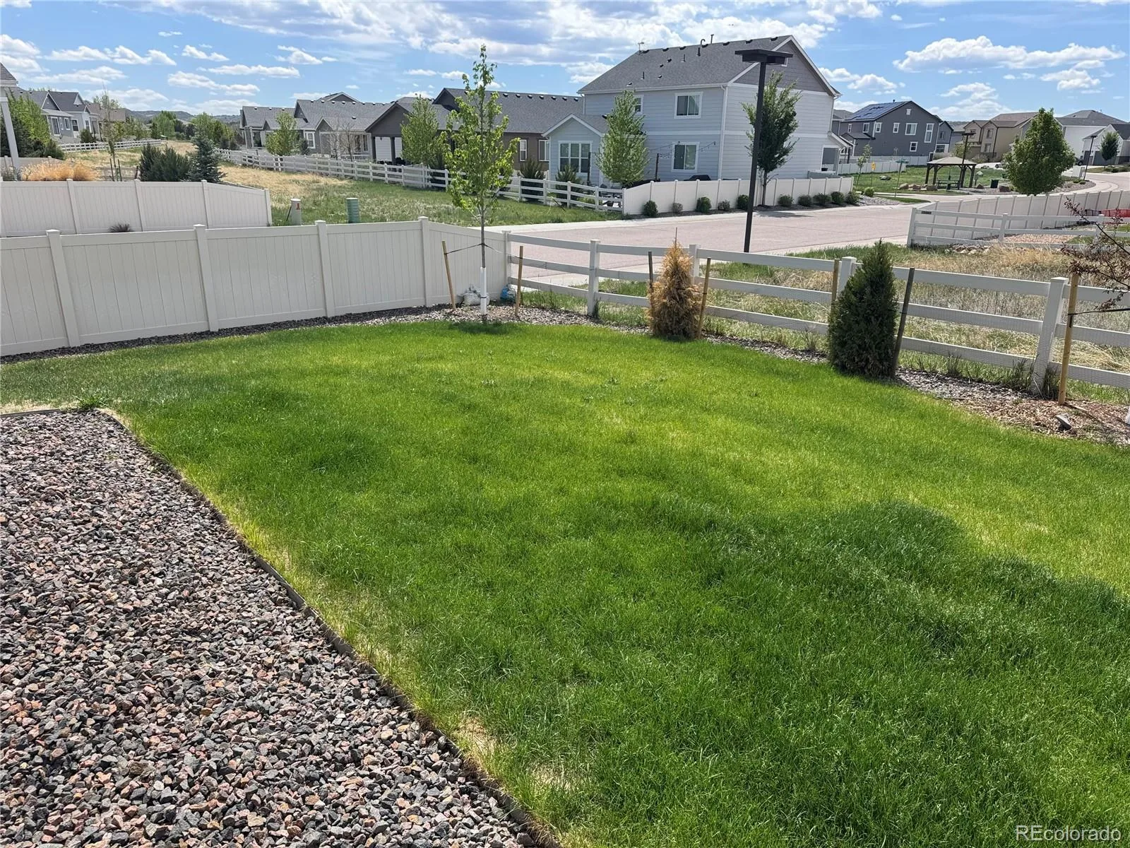 5667 Saddle Skirt Street Parker CO 80134 MLS #REC8902692 06192026233042 1600 30