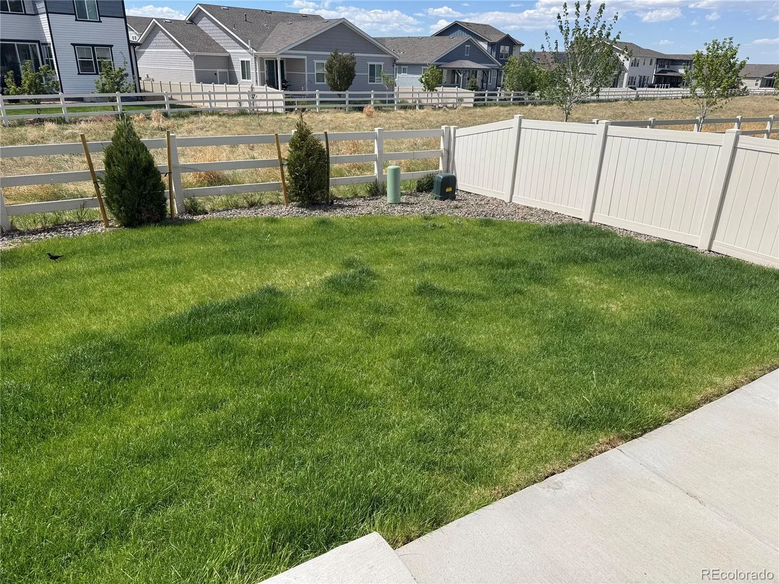 5667 Saddle Skirt Street Parker CO 80134 MLS #REC8902692 06192026233042 1600 31