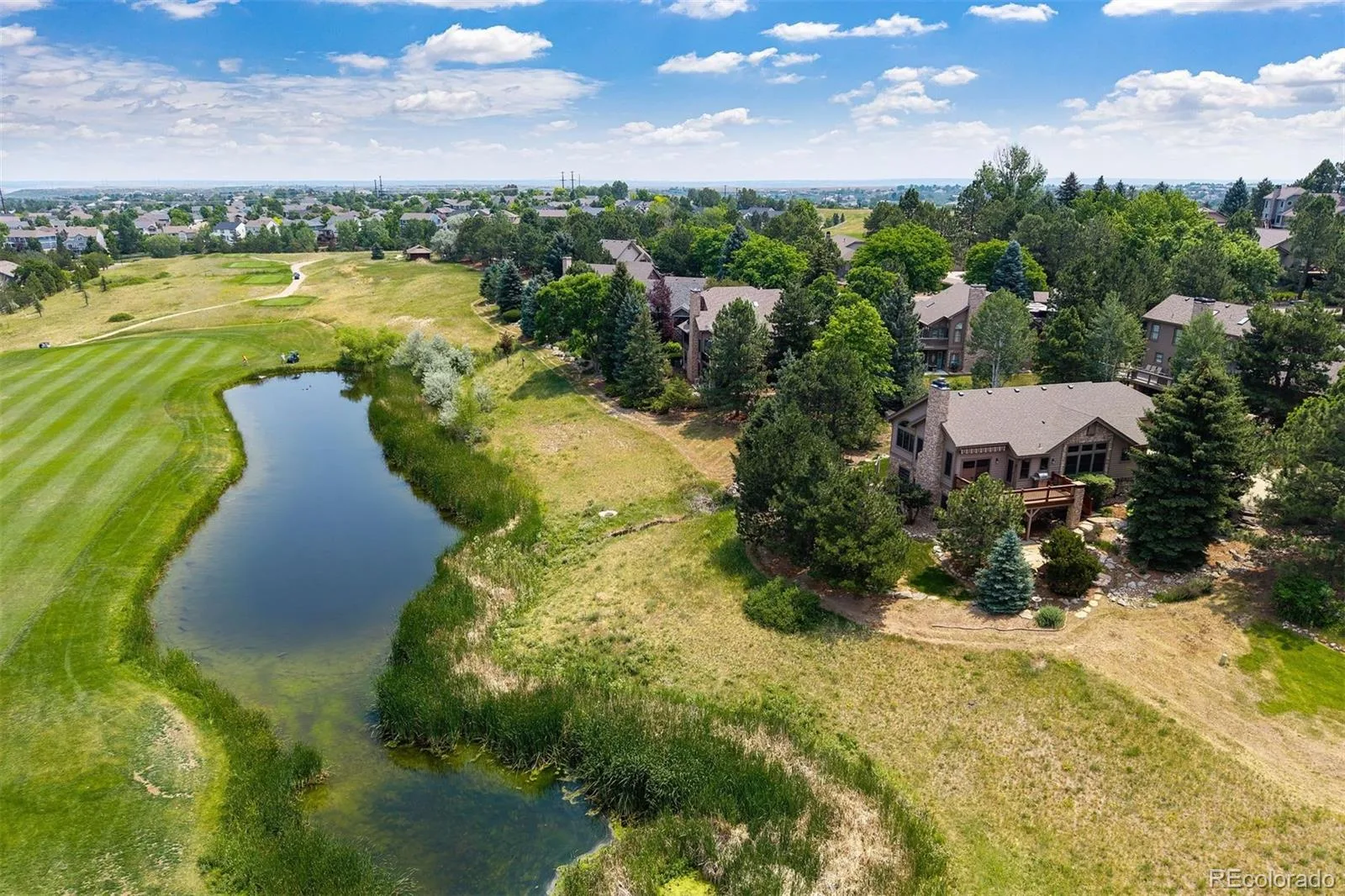 10 Roder Gate Lane Castle Pines CO 80108 MLS #REC8904827 06252026014355 1600 32