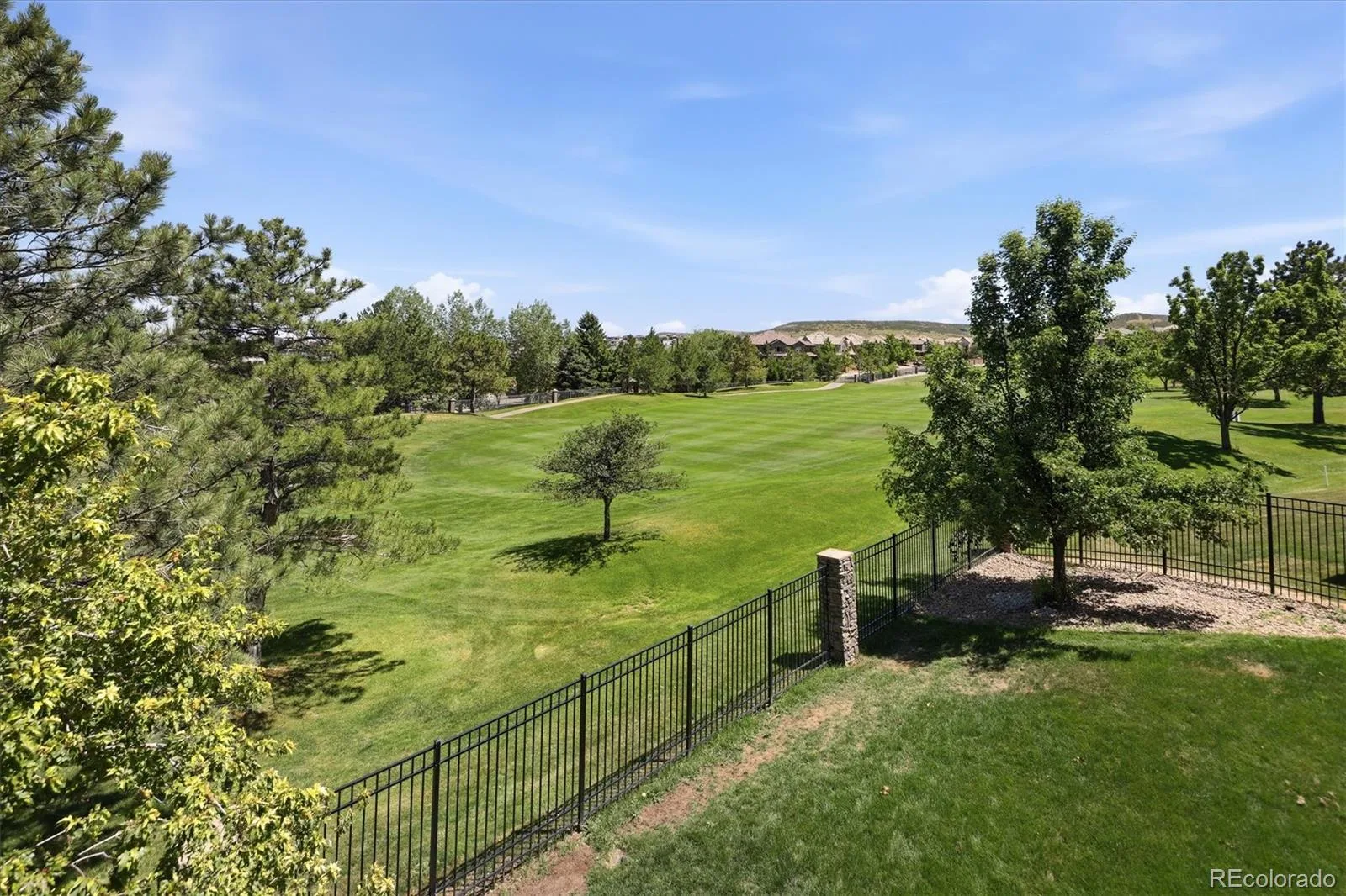 10008 Oak Tree Court Lone Tree CO 80124 MLS #REC8923026 06192026234218 1600 22