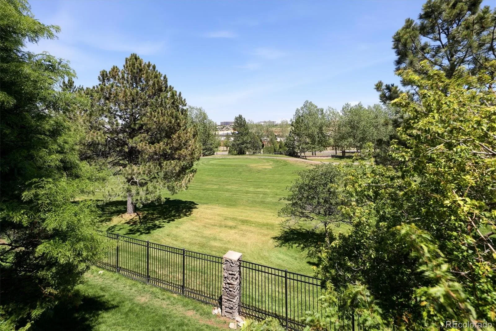 10008 Oak Tree Court Lone Tree CO 80124 MLS #REC8923026 06192026234218 1600 23