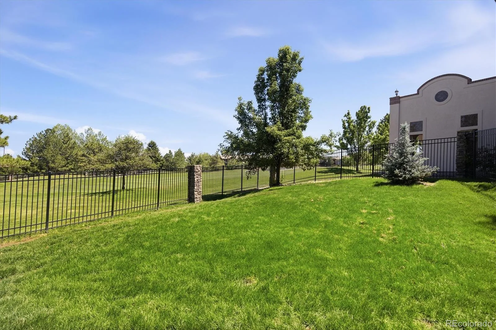 10008 Oak Tree Court Lone Tree CO 80124 MLS #REC8923026 06192026234218 1600 46