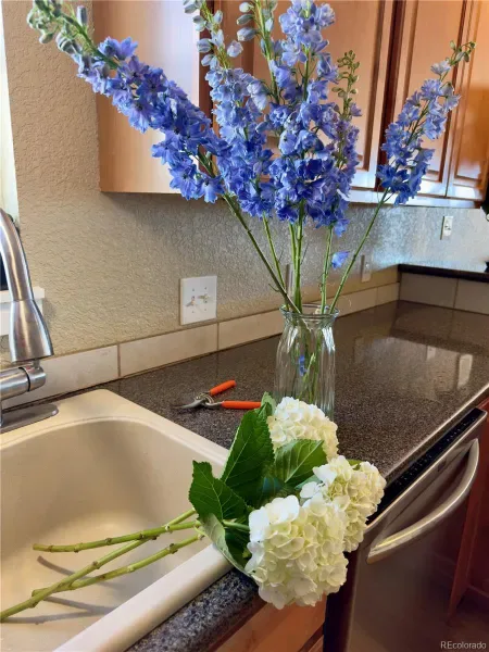 03192026002322 800 3