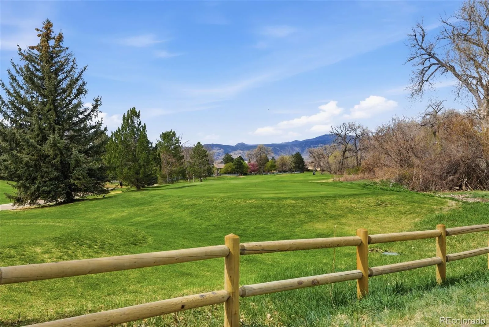 04082026134203 1600 41