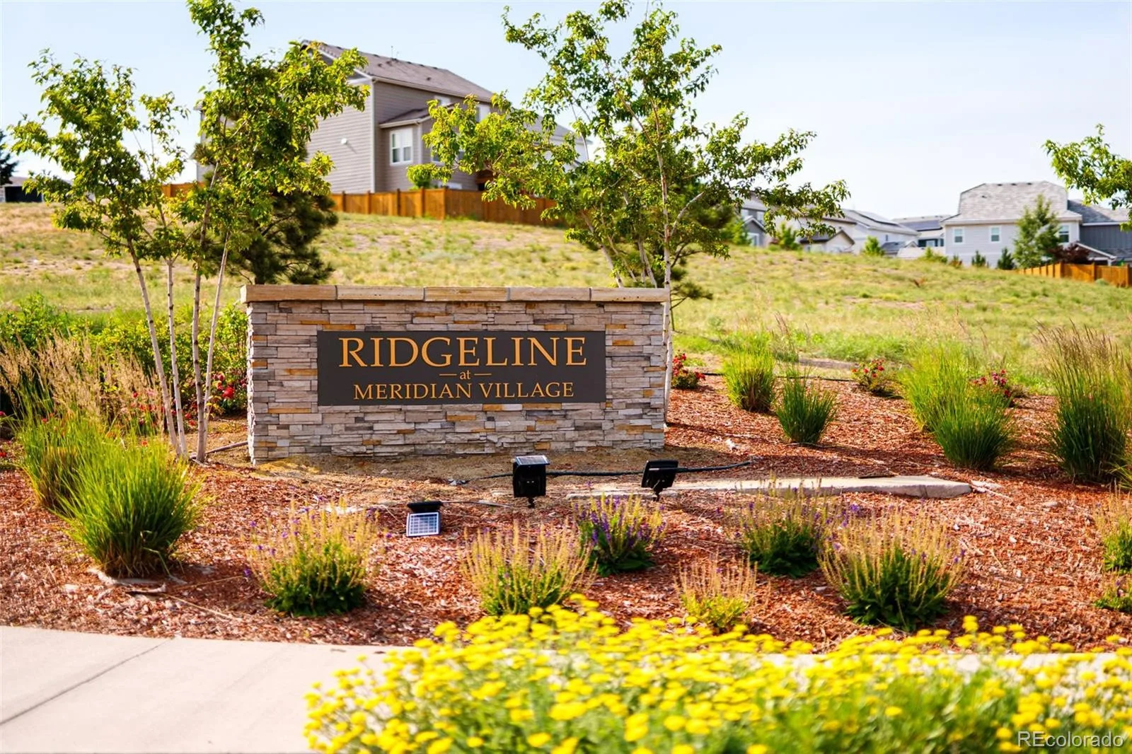 14925 Pepper Pike Drive Parker CO 80134 MLS #REC8926812 07292026024634 1600 27
