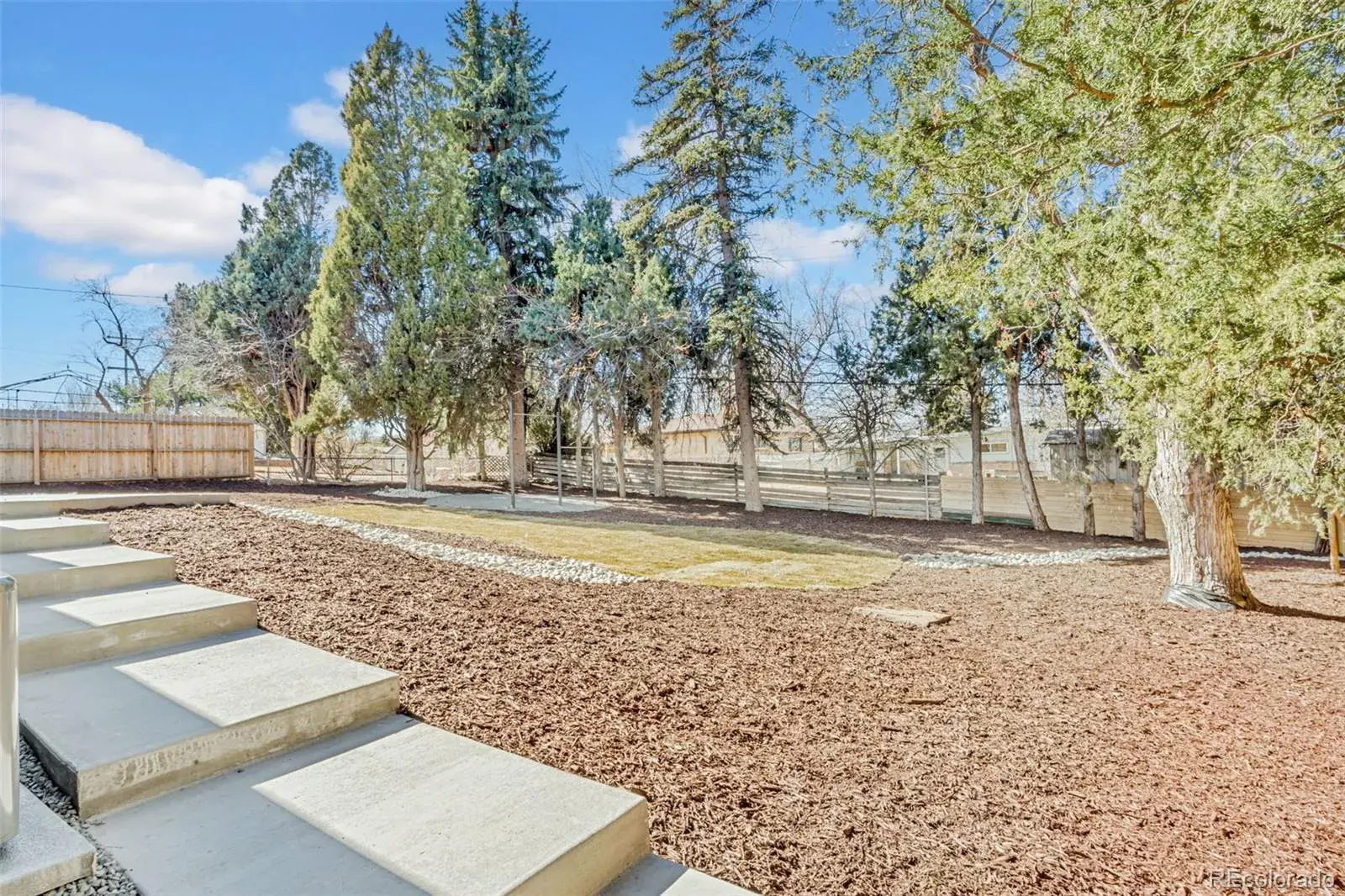 3775 Garland Street Wheat Ridge CO 80033 MLS #REC8928195 03062026205644 1600 36