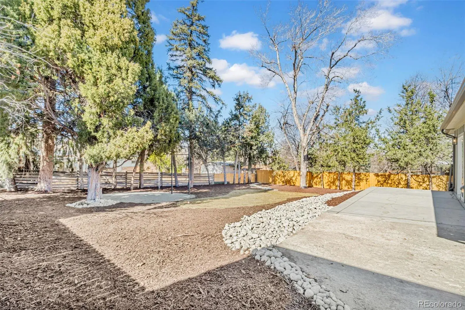 3775 Garland Street Wheat Ridge CO 80033 MLS #REC8928195 03062026205644 1600 37