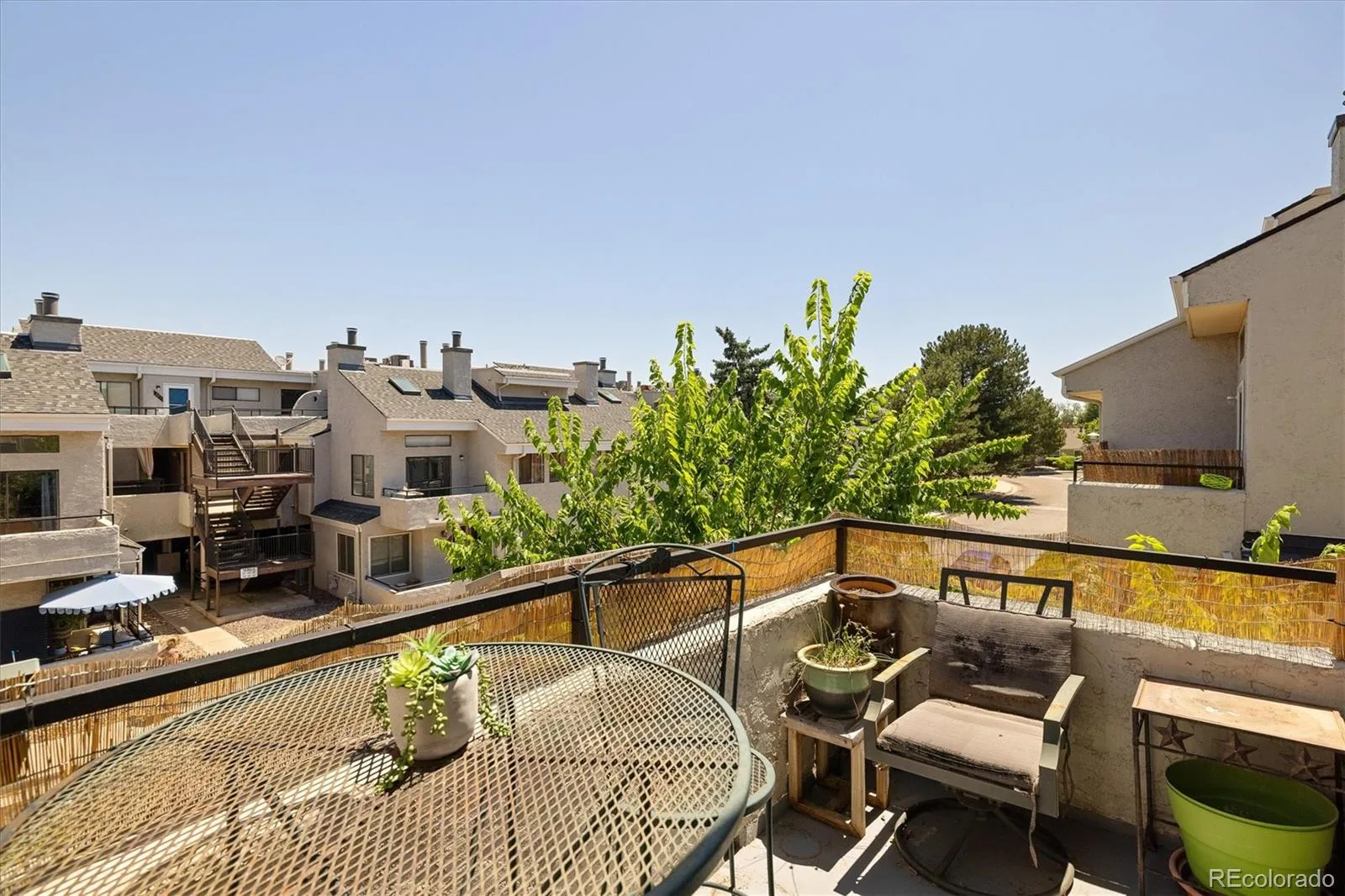 1820 Newland Court #204 Lakewood CO 80214 | MLS #REC8936635 08182026155404 1600 15