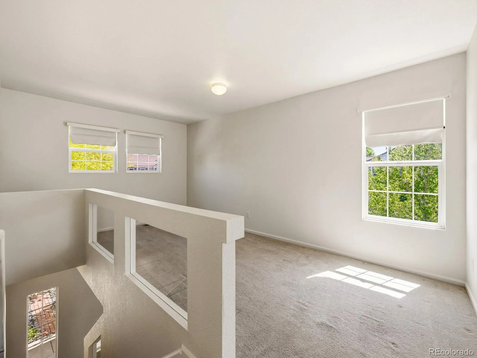21488 Randolph Place Denver CO 80249 MLS #REC8940078 06112026213847 1600 19