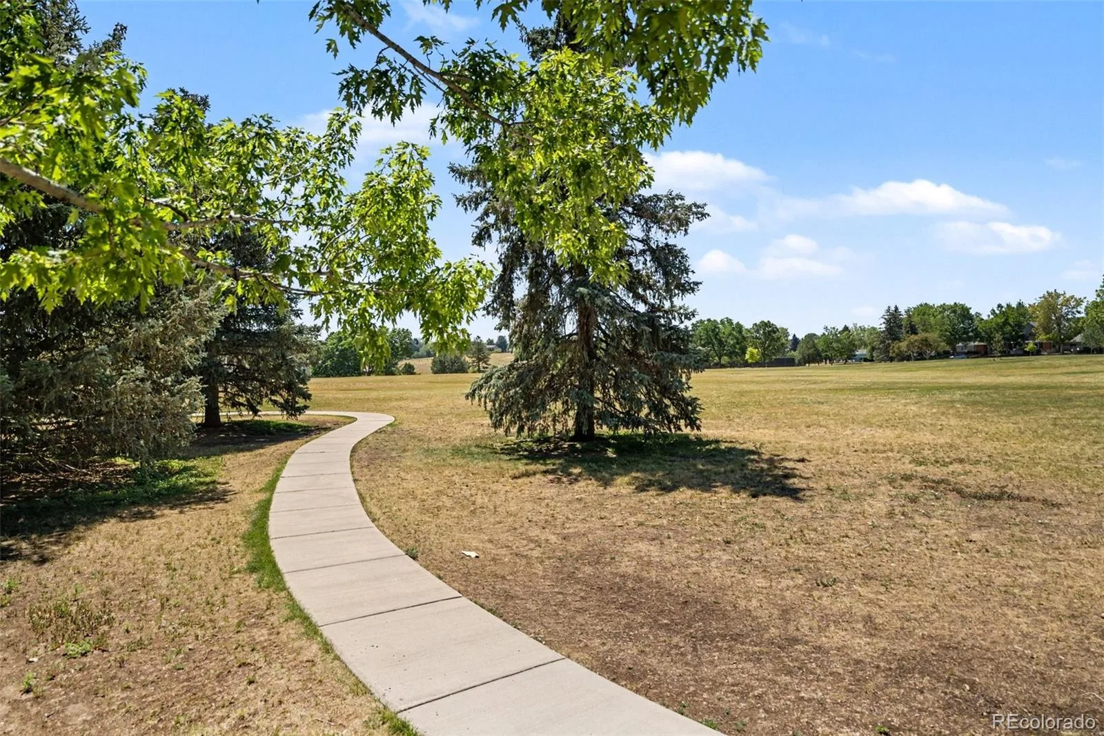 7590 S Cove Circle Littleton CO 80122 | MLS #REC8955520 08242026230440 1600 24
