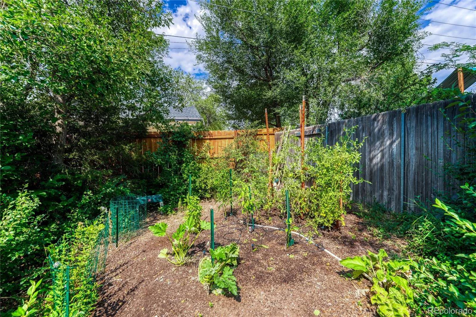 395 S Lee Street Denver CO 80226 | MLS #REC8957729 08122026182019 1600 41