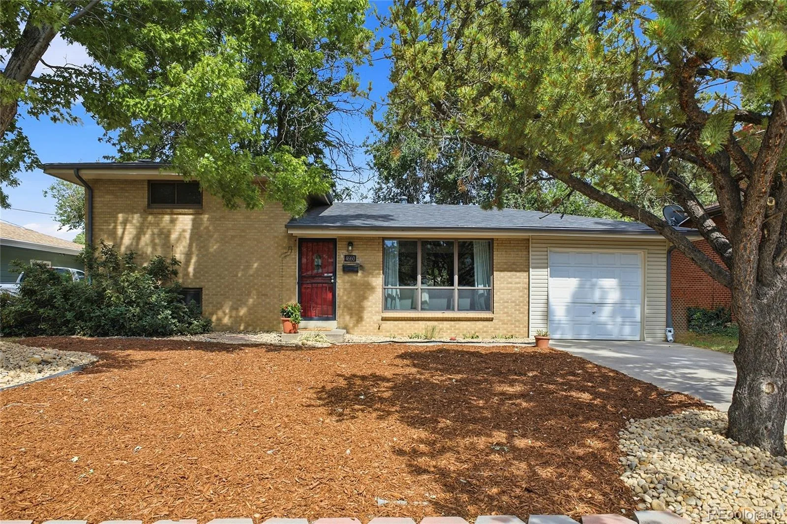 4660 Estes Street Wheat Ridge CO 80033 | MLS #REC8964122 08212026160651 1600 1