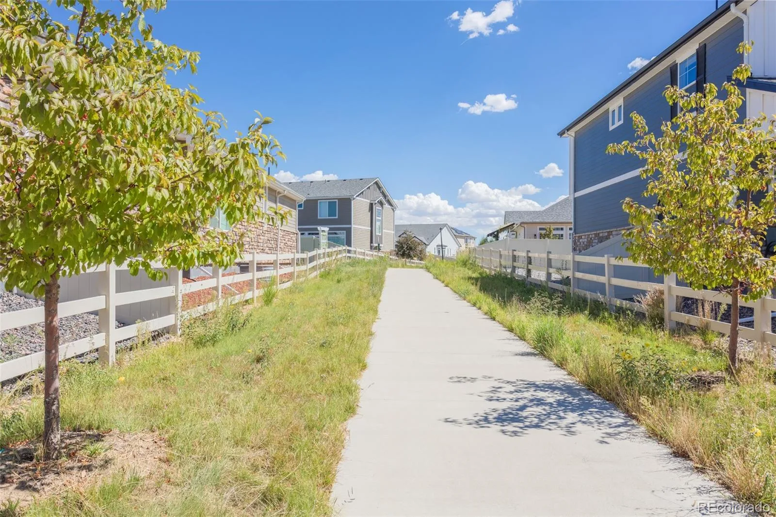 4448 Riviera Court Aurora CO 80019 MLS #REC8967474 06042026143807 1600 25