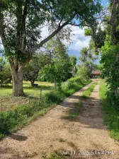 5939 Niwot Road Longmont CO 80503 | MLS #REC5869742 09242025193400 300 0