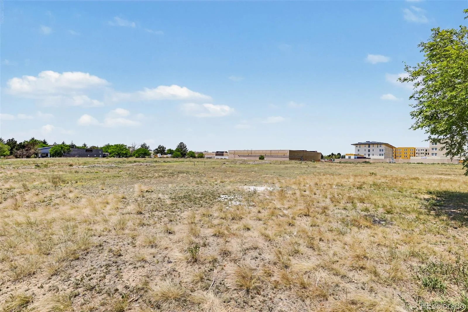 E Centretech Parkway Aurora CO 80011 | MLS #REC8973796 07102026162227 1600 7