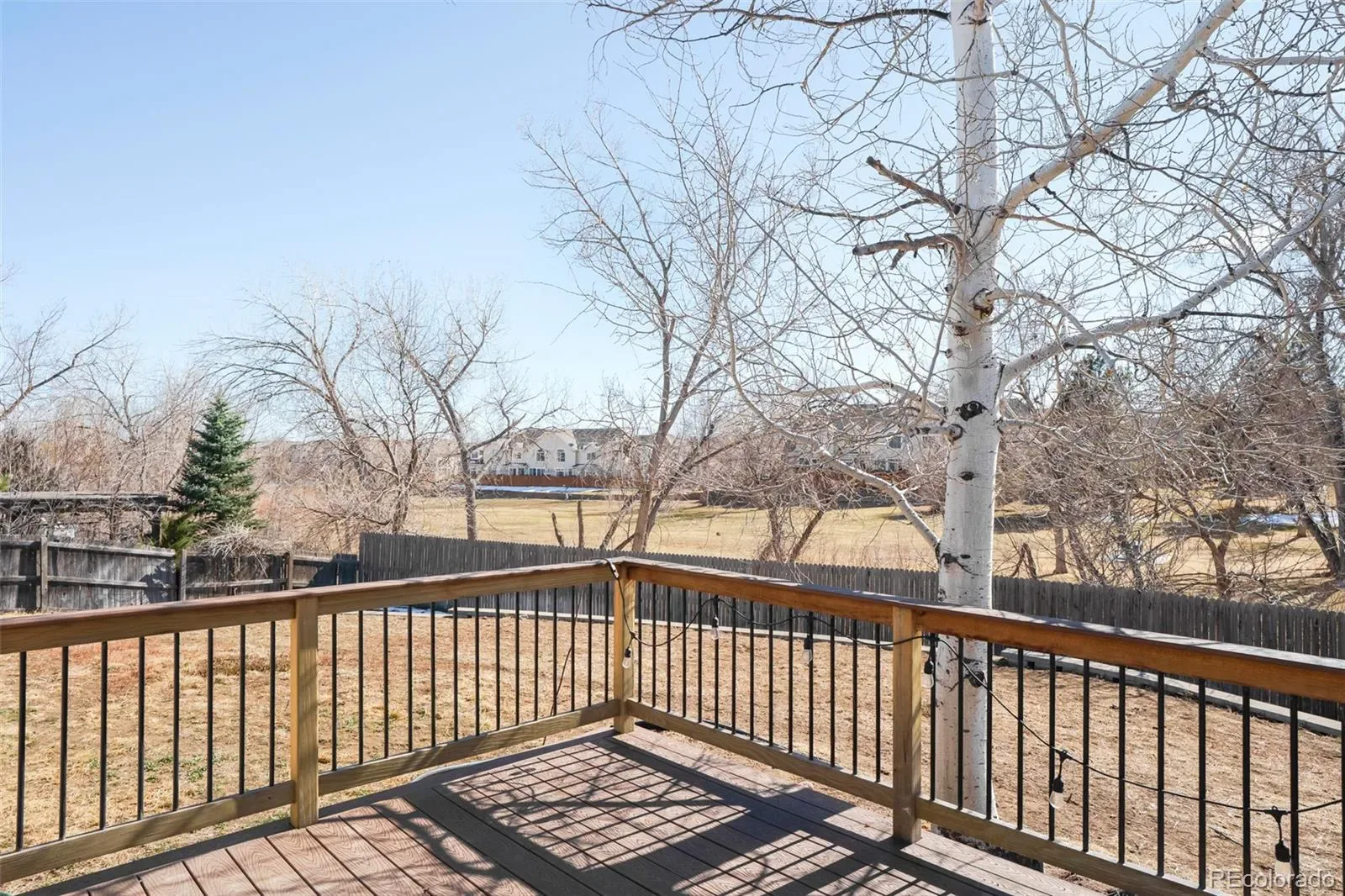 03122026185033 1600 29