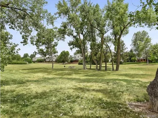 03122026185033 640 31