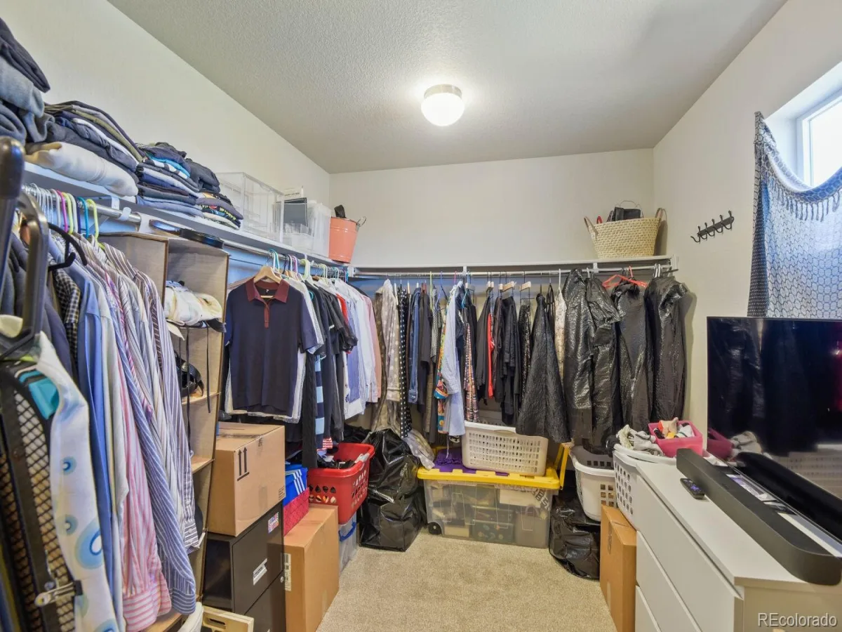 3585 Swabuck Place Castle Rock CO 80109 | MLS #REC8981485 08262026154409 1200 22