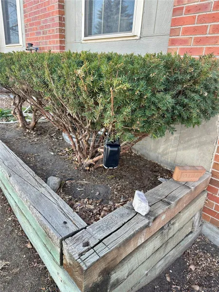 04182026203747 800 25