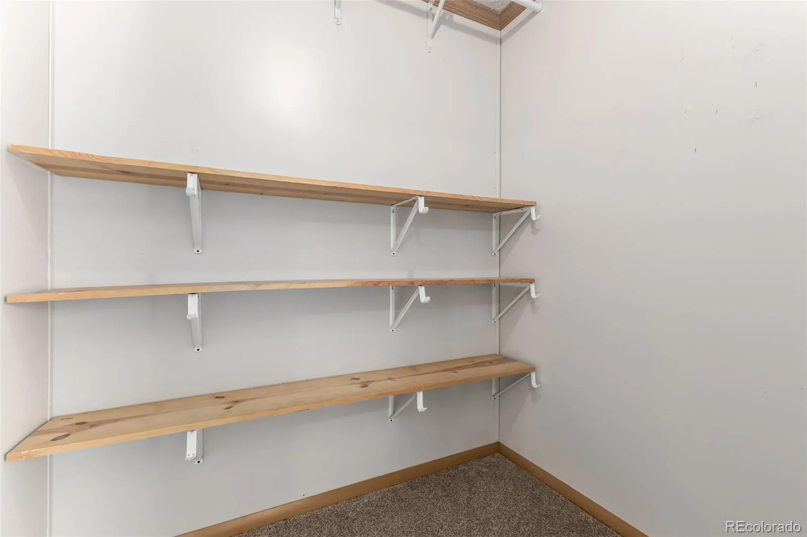 04142026002631 1600 24