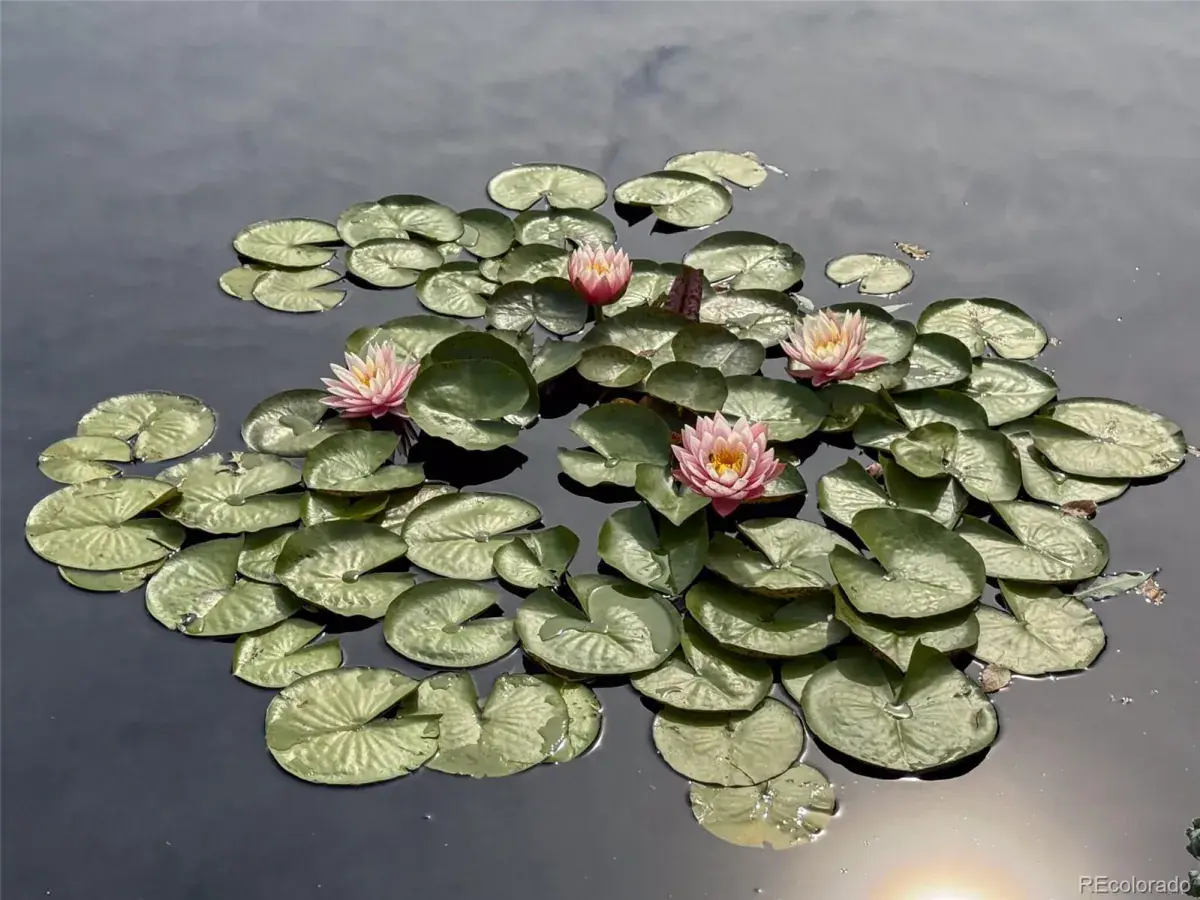 02092026220544 1200 43