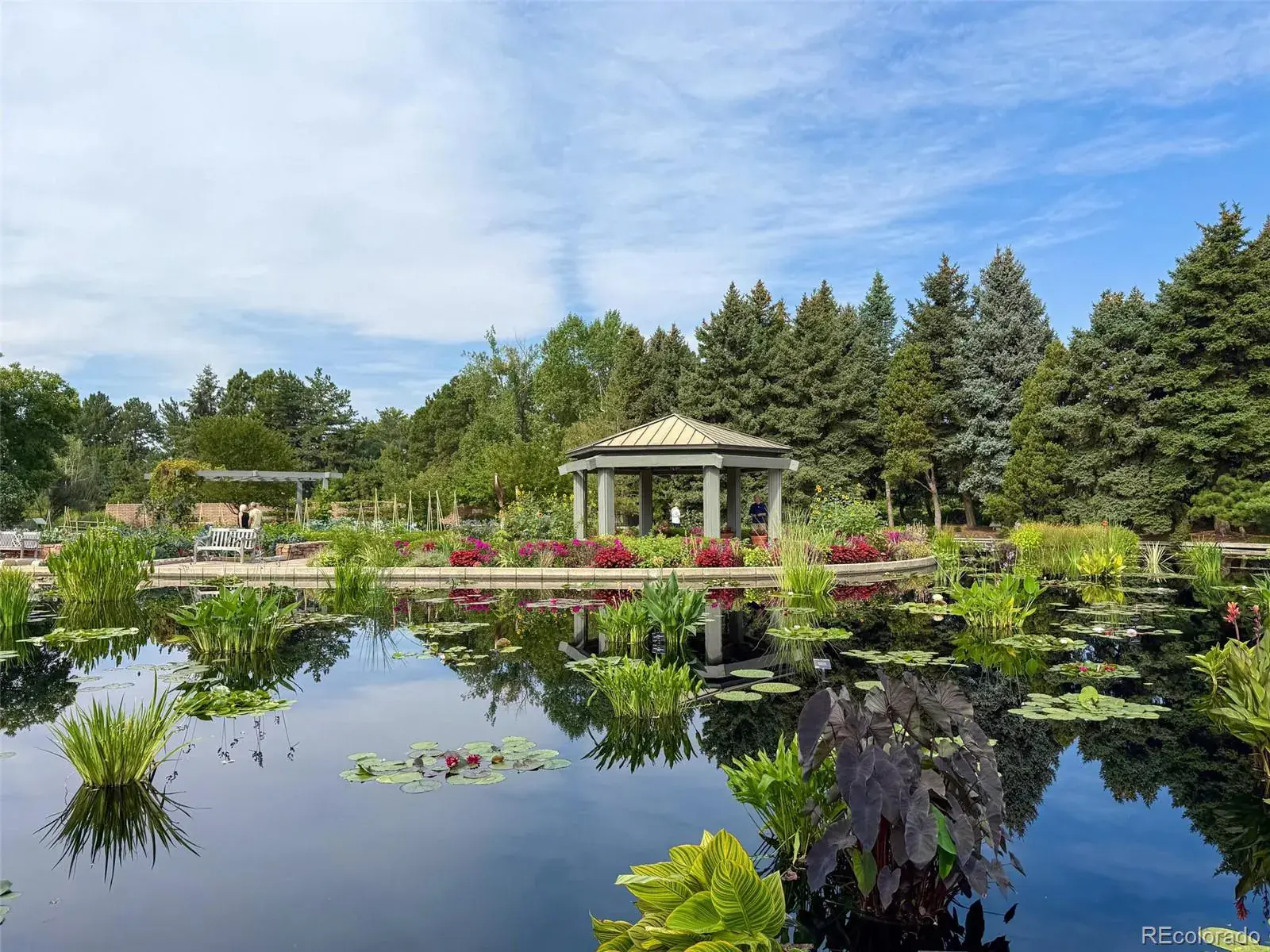 02092026220544 1600 41