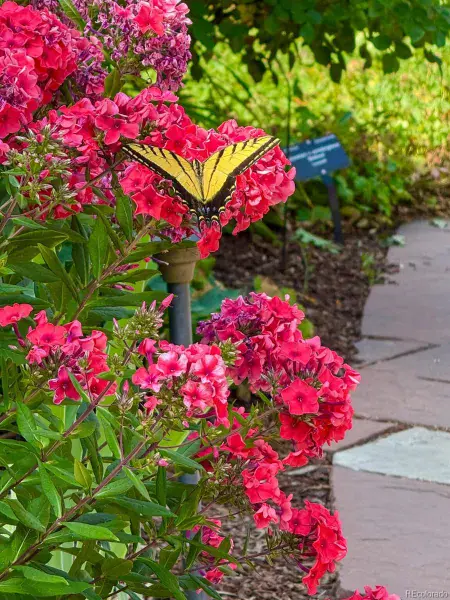 02092026220544 800 42