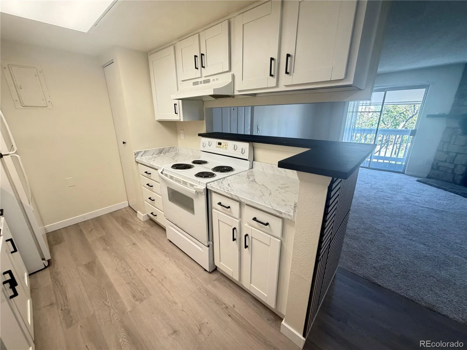 13507 E Asbury Drive #203 Aurora CO 80014 | MLS #REC9012146 09052026000423 1600 5
