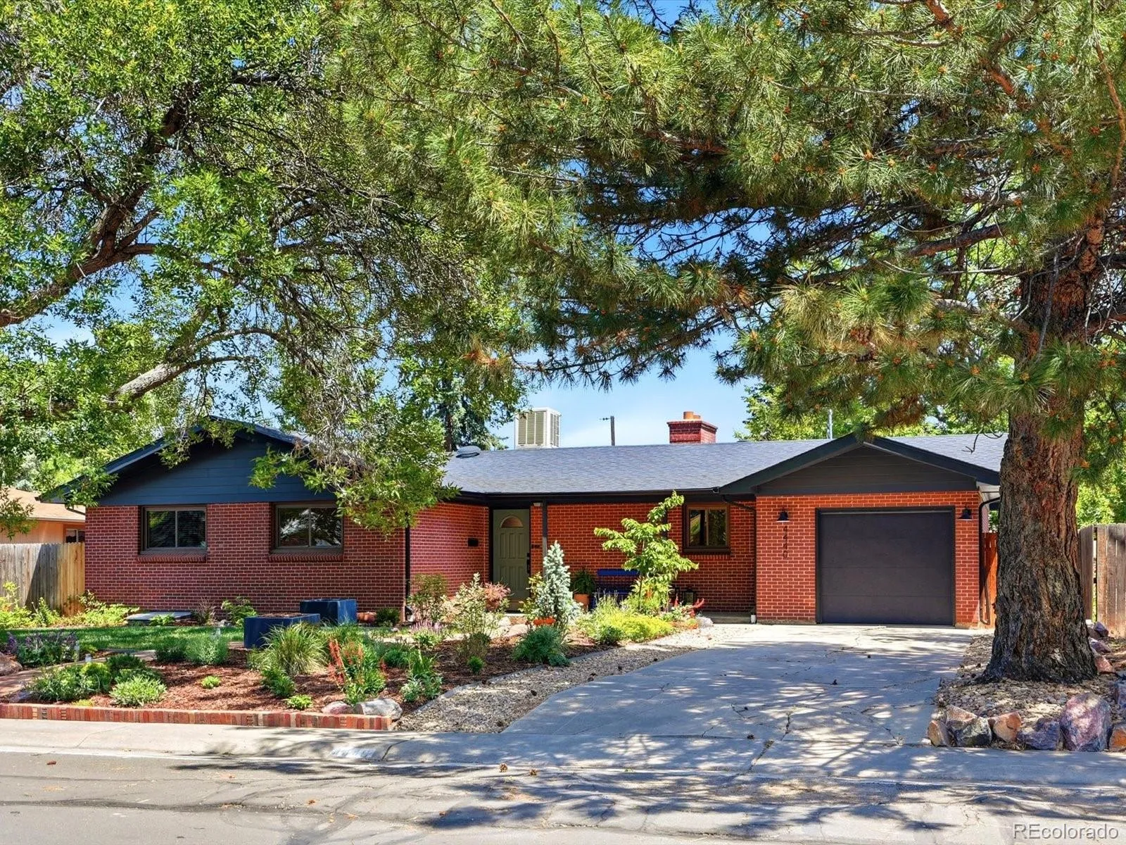 4440 Teller Street Wheat Ridge CO 80033 MLS #REC9017829 05242026053140 1600 1